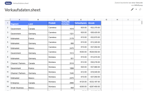Spreadsheet Seite.png